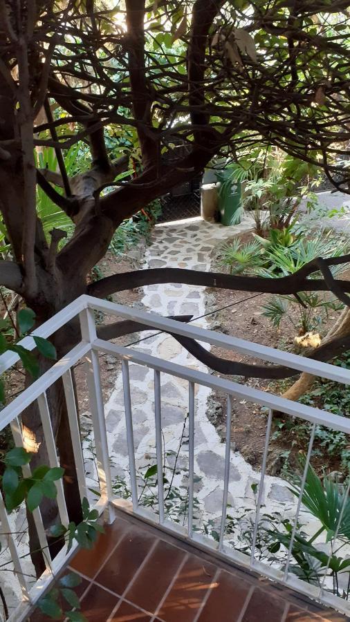 Villa Valkane Pet Friendly 150M From The Stunning Valkane Beach, City Indoor Pools-Fitness And City Mall Pula Dış mekan fotoğraf