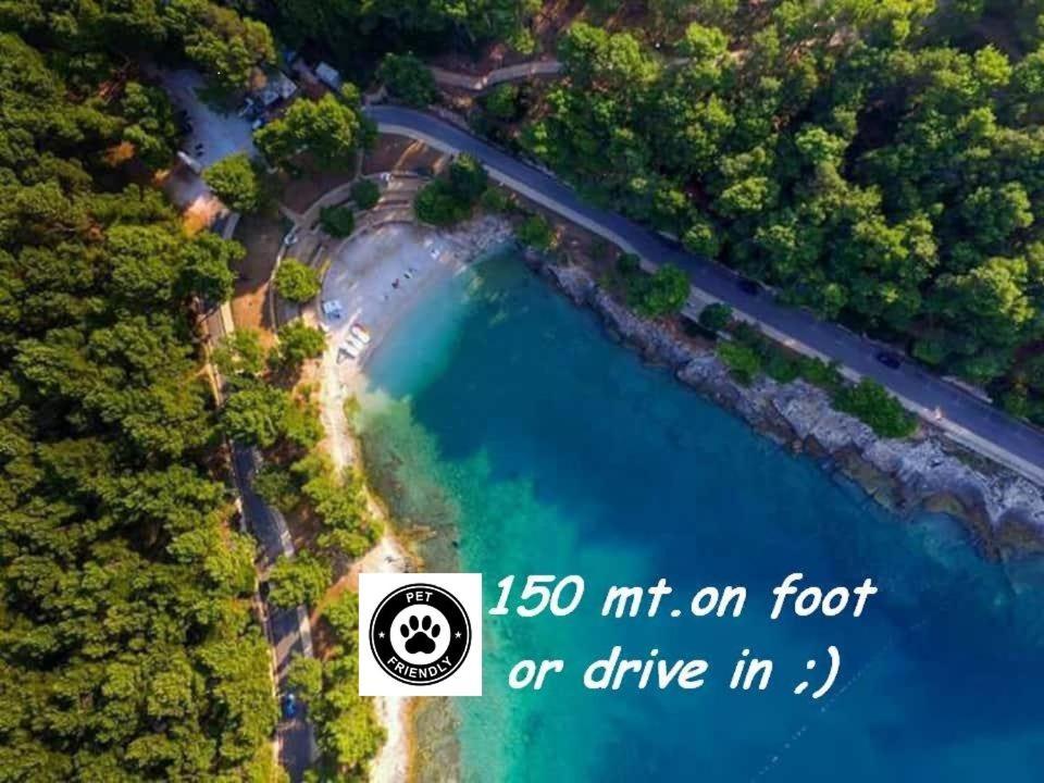 Villa Valkane Pet Friendly 150M From The Stunning Valkane Beach, City Indoor Pools-Fitness And City Mall Pula Dış mekan fotoğraf